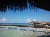 20150423_083600.jpg 20150423_083600.jpg