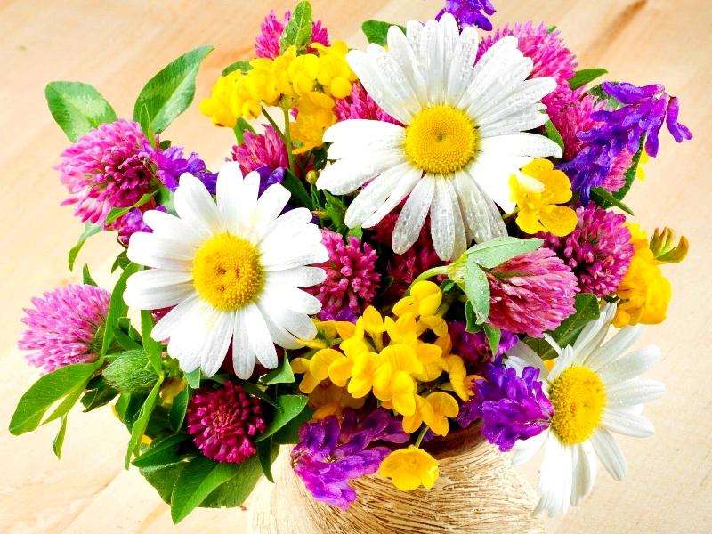 basket-of-fresh-flowers-224558.jpg