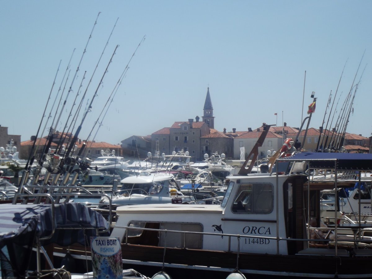 DSCF1598.JPG