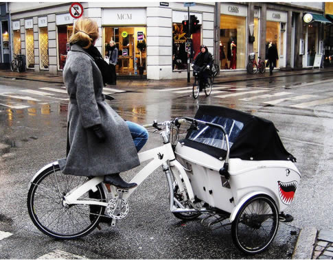 7-cargo-bike-441.jpg