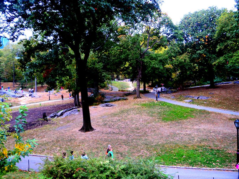 14 11 central park 2.jpg