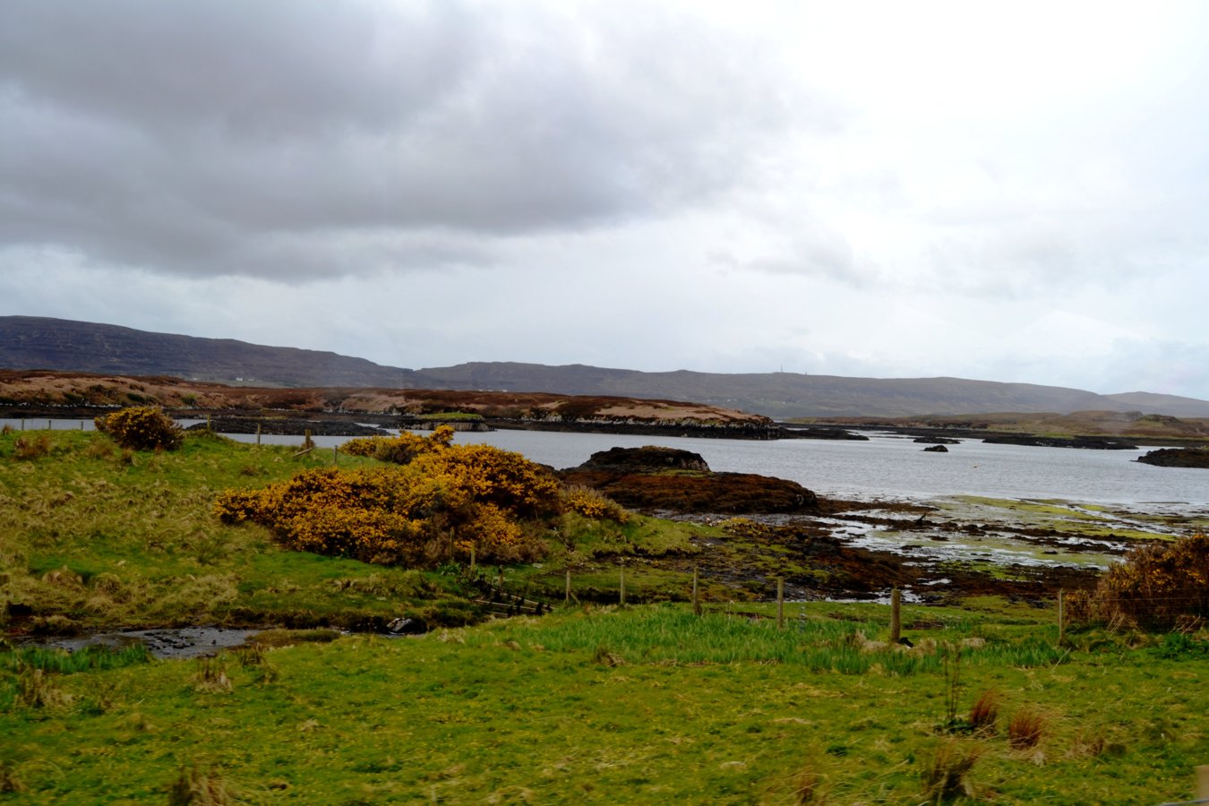 SCOTLAND2 2592.JPG
