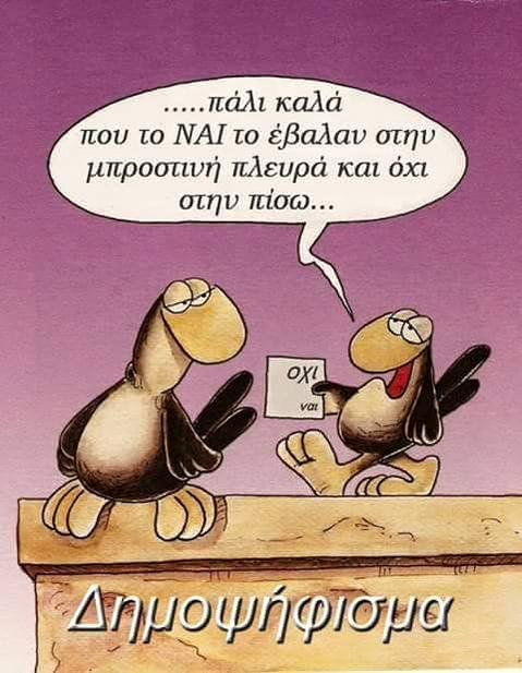 arkas.jpg