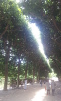 Jardin Des Plantes (12).jpg