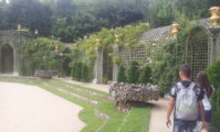 Jardins De Versailles  (45).jpg