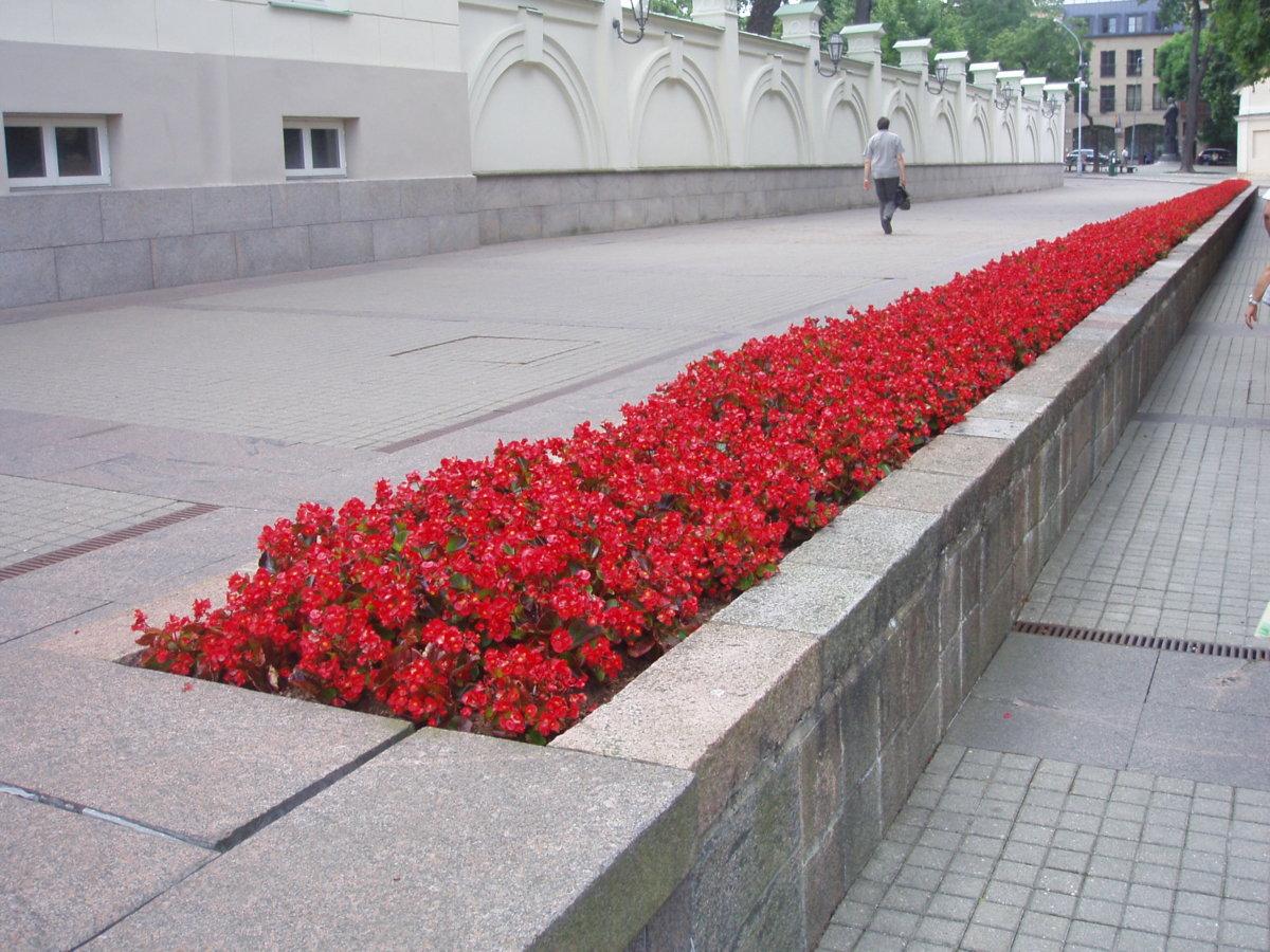 Vilnius, Presidential Palace 4.JPG