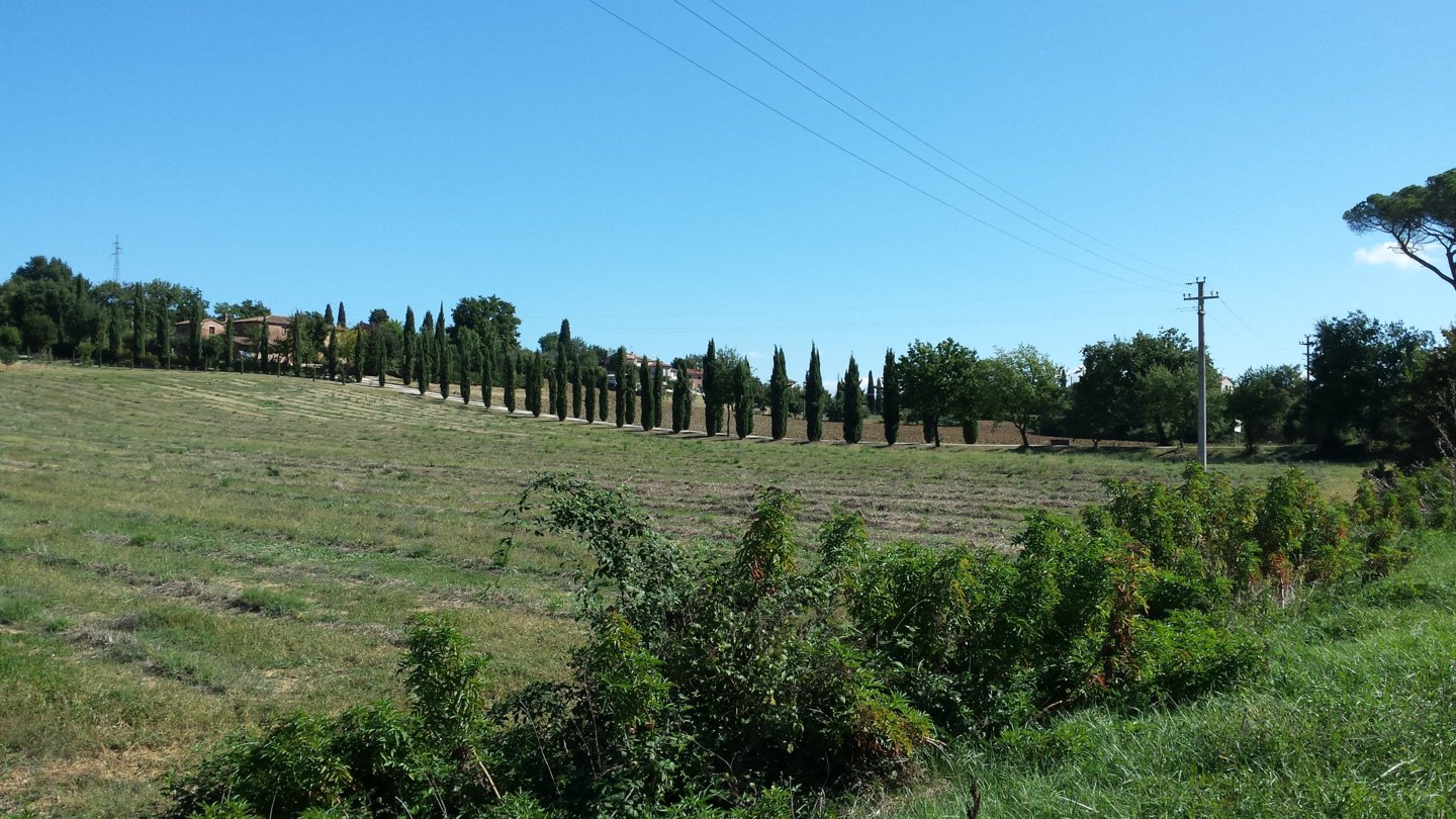 20150921_112327.jpg
