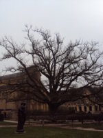 DSC09713.JPG