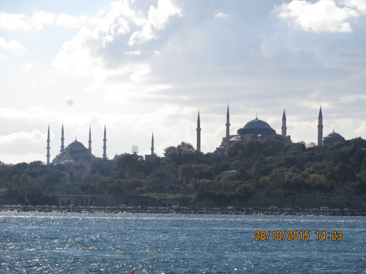 Raw00231.JPG Raw00231.JPG