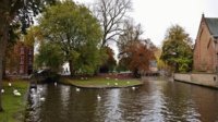 DSC_0207.JPG DSC_0207.JPG