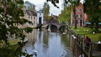 DSC_0230.JPG DSC_0230.JPG