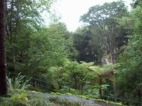 μαδέρα ιουλ 2013 070.jpg μαδέρα ιουλ 2013 070.jpg