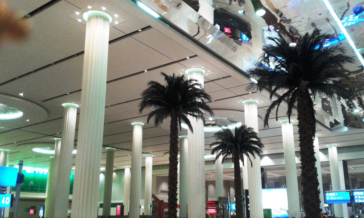 20151224_223204.jpg