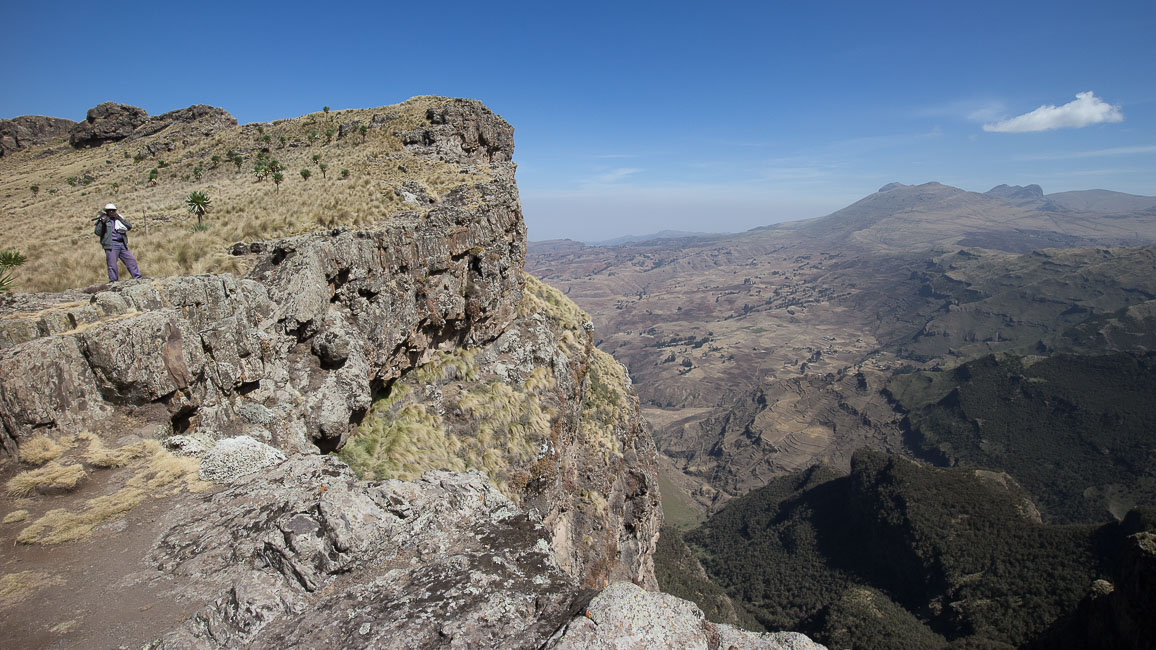 simien (62 of 66).jpg