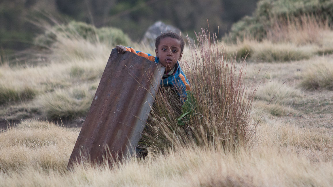 simien (49 of 66).jpg