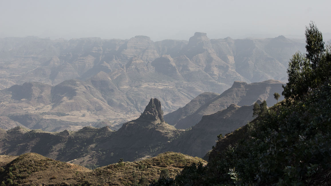 simien (5 of 66).jpg