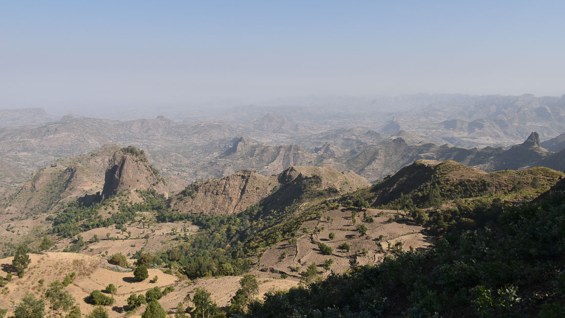 simien (6 of 66).jpg