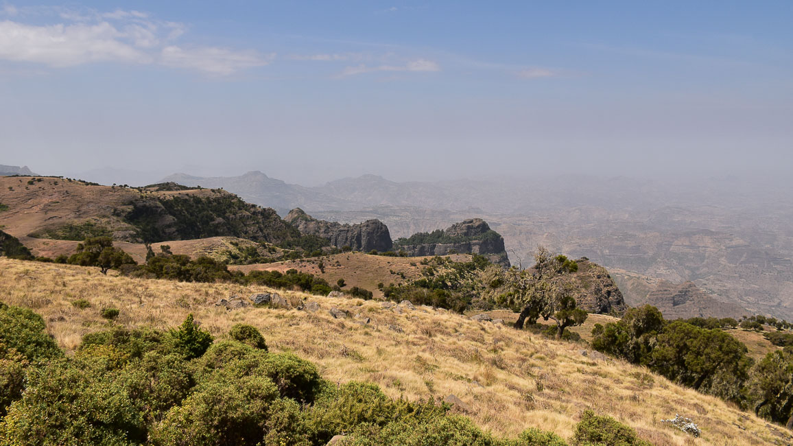 simien (22 of 66).jpg