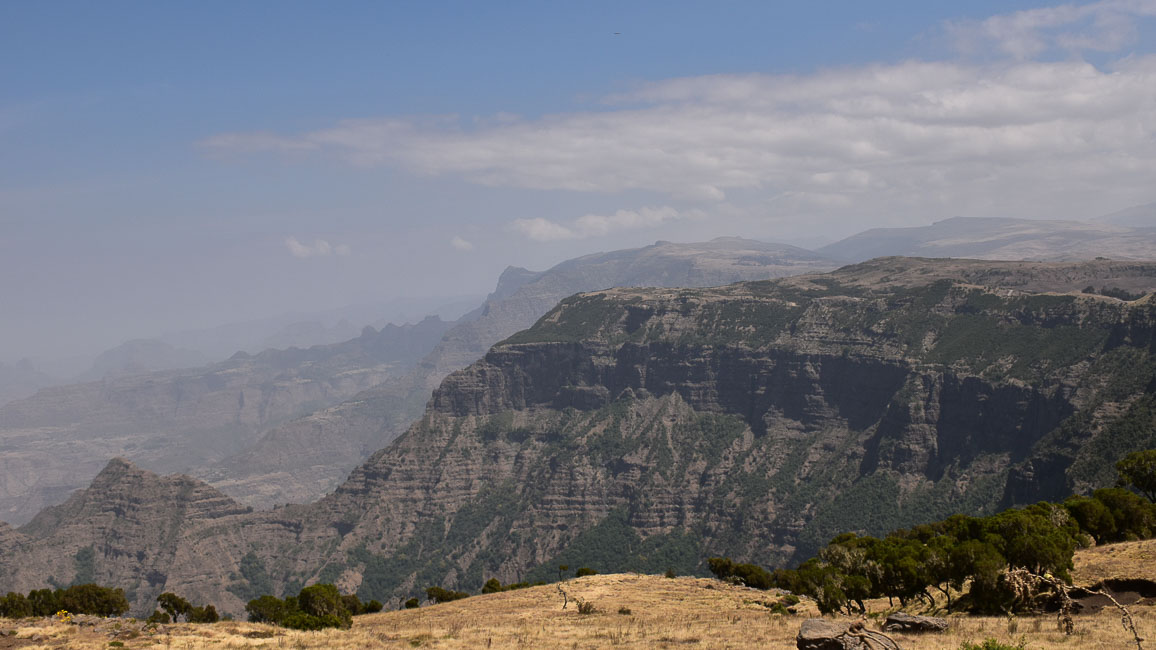 simien (23 of 66).jpg