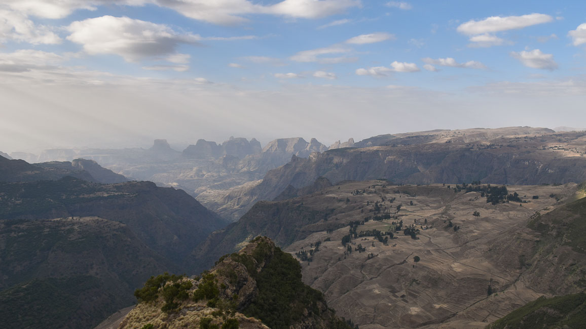 simien (46 of 66).jpg