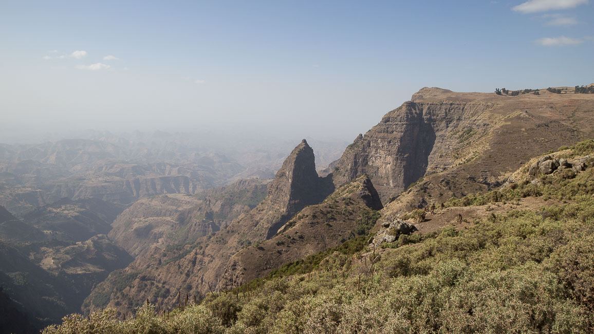 simien (40 of 66).jpg