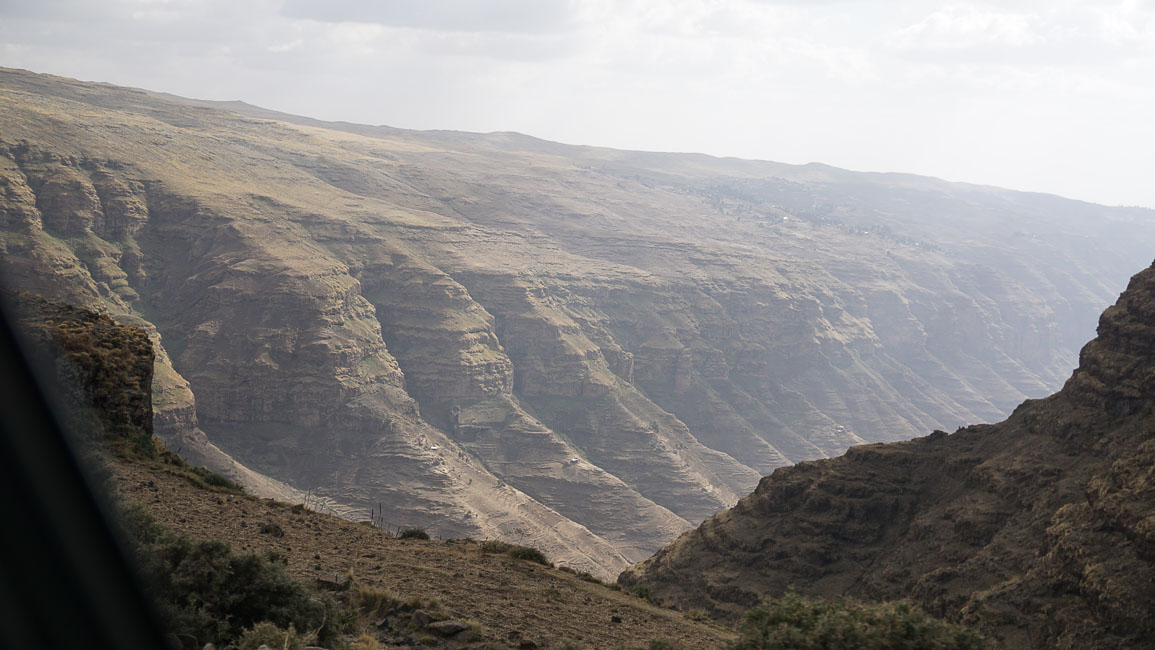 simien (42 of 66).jpg