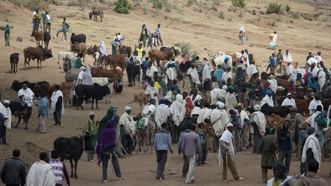 simien (21 of 66).jpg