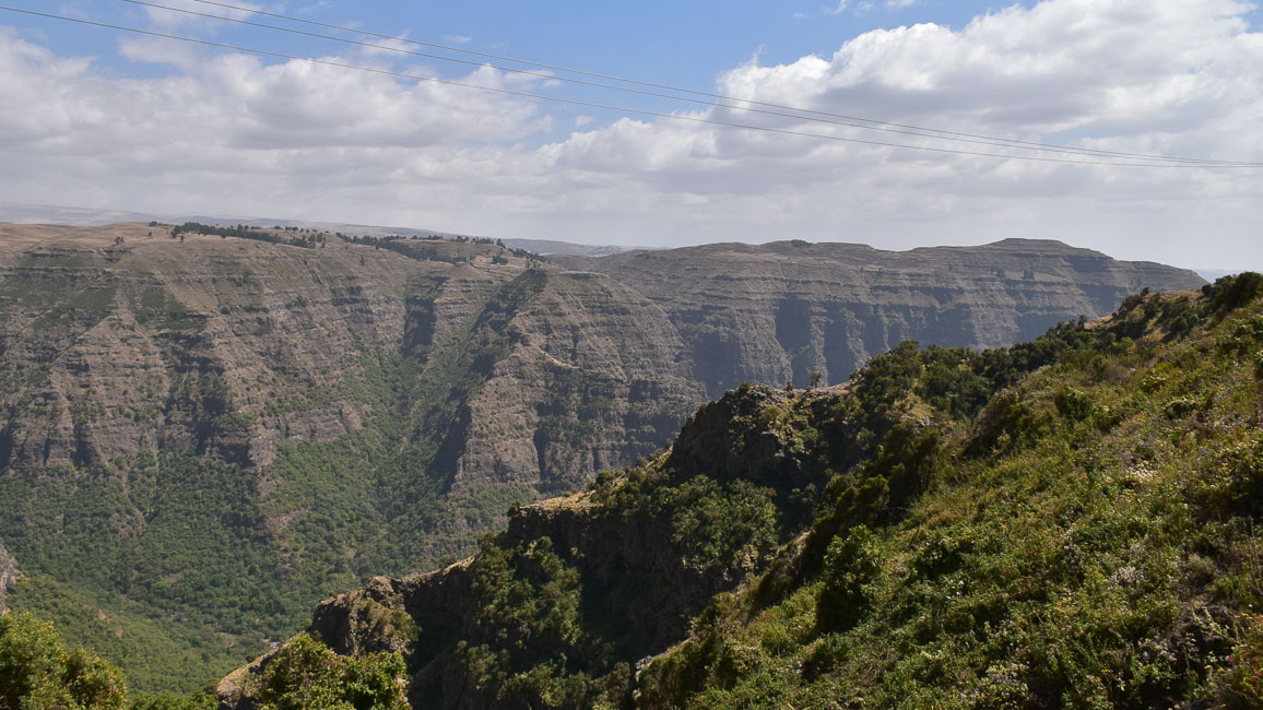 simien (33 of 66).jpg