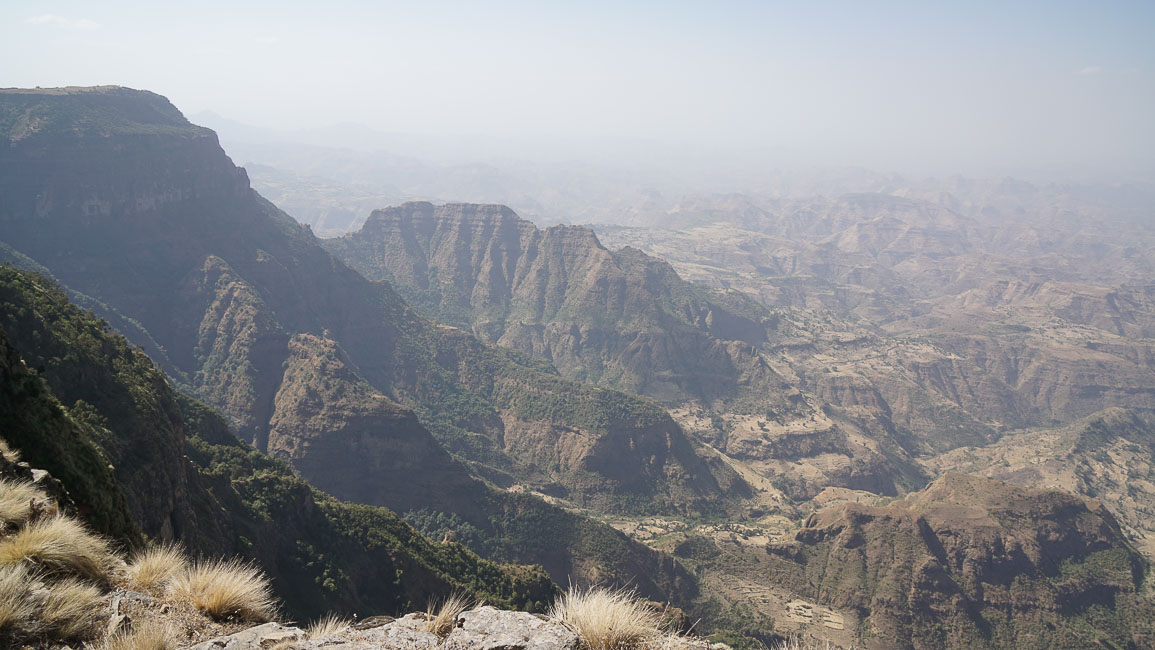 simien (37 of 66).jpg