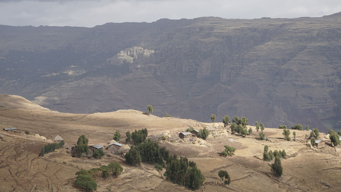 simien (41 of 66).jpg