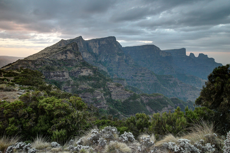 simien (53 of 66).jpg