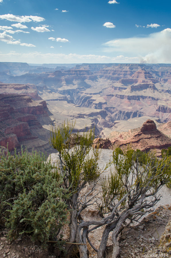 Grand Canyon-7.jpg