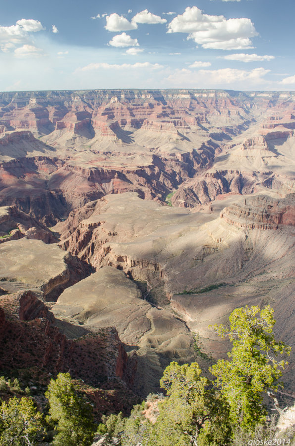Grand Canyon-14.jpg