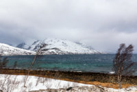 Tromso-51.jpg