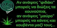 13412958_1017506835000362_469429264911779742_n.jpg