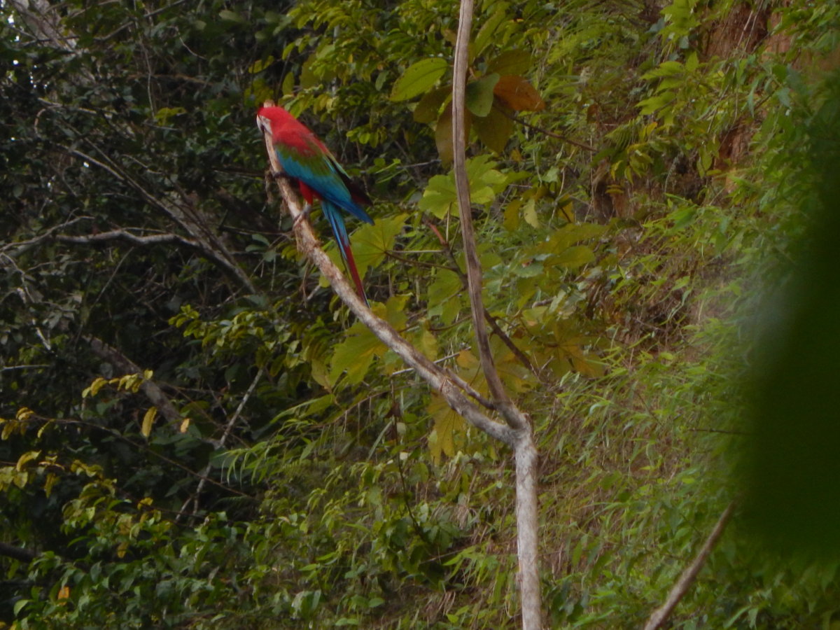 DSCN4472.JPG