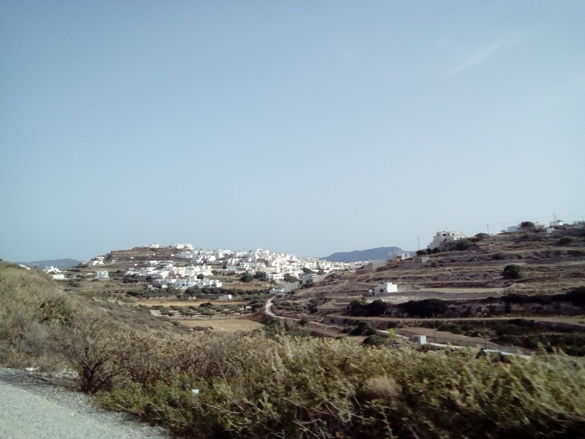 DSC_0710.JPG