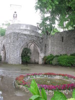 IMG_7876.JPG IMG_7876.JPG