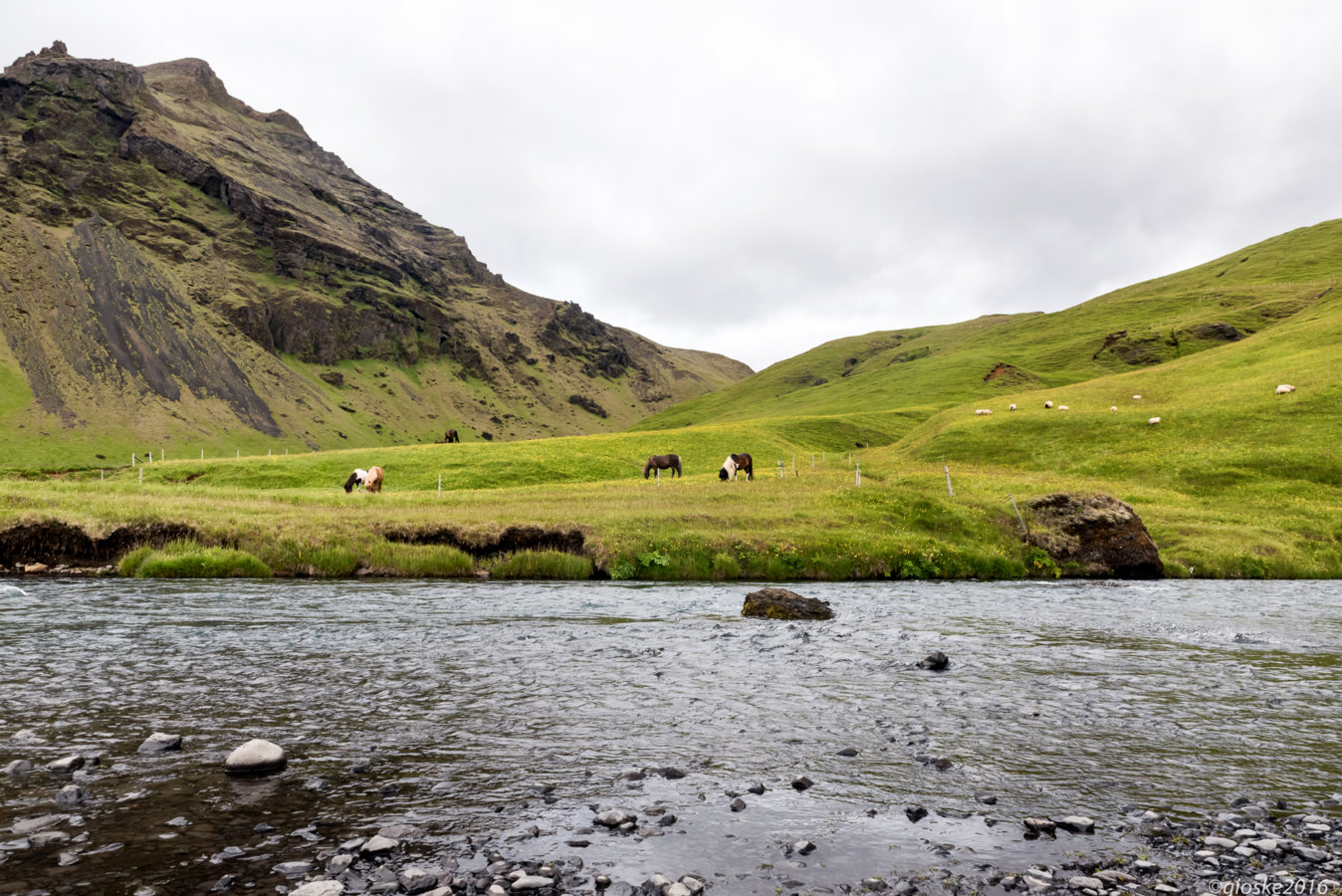 Iceland-6.jpg