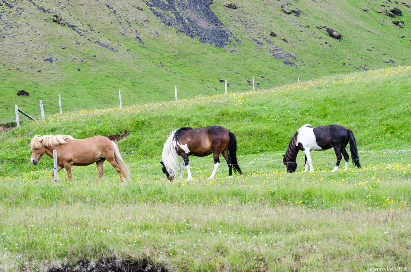 Iceland-18.jpg