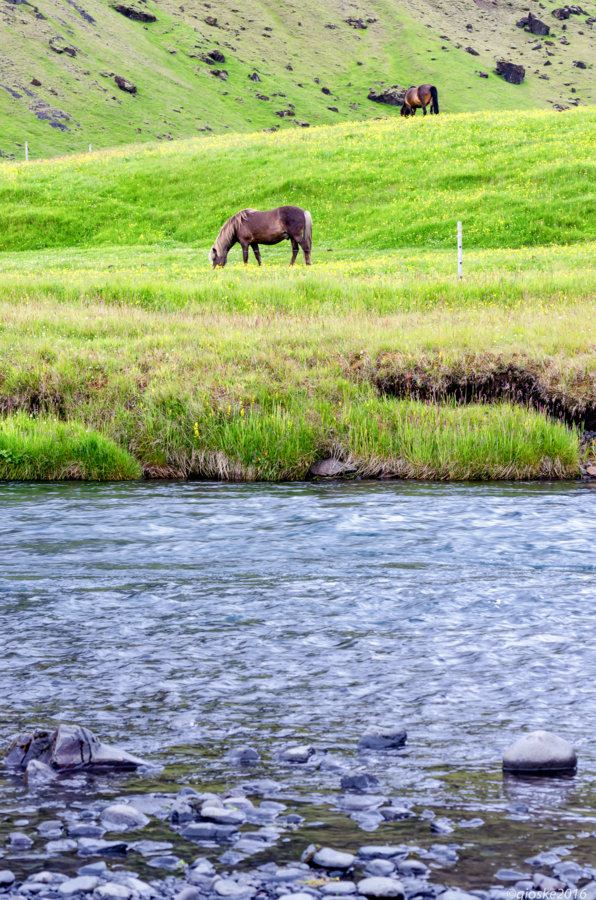 Iceland-19.jpg