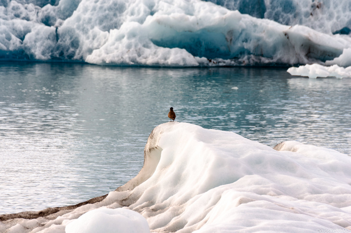 Iceland-72.jpg