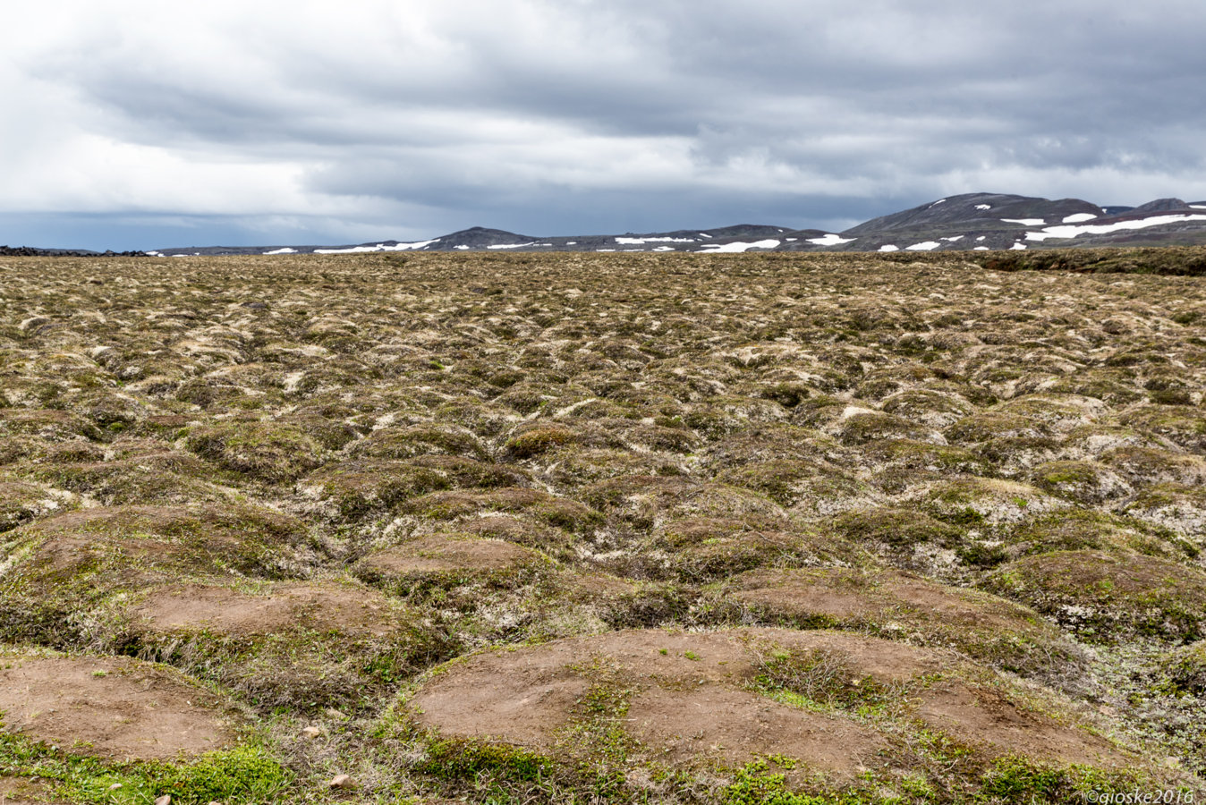 Iceland-Day 5-27.jpg