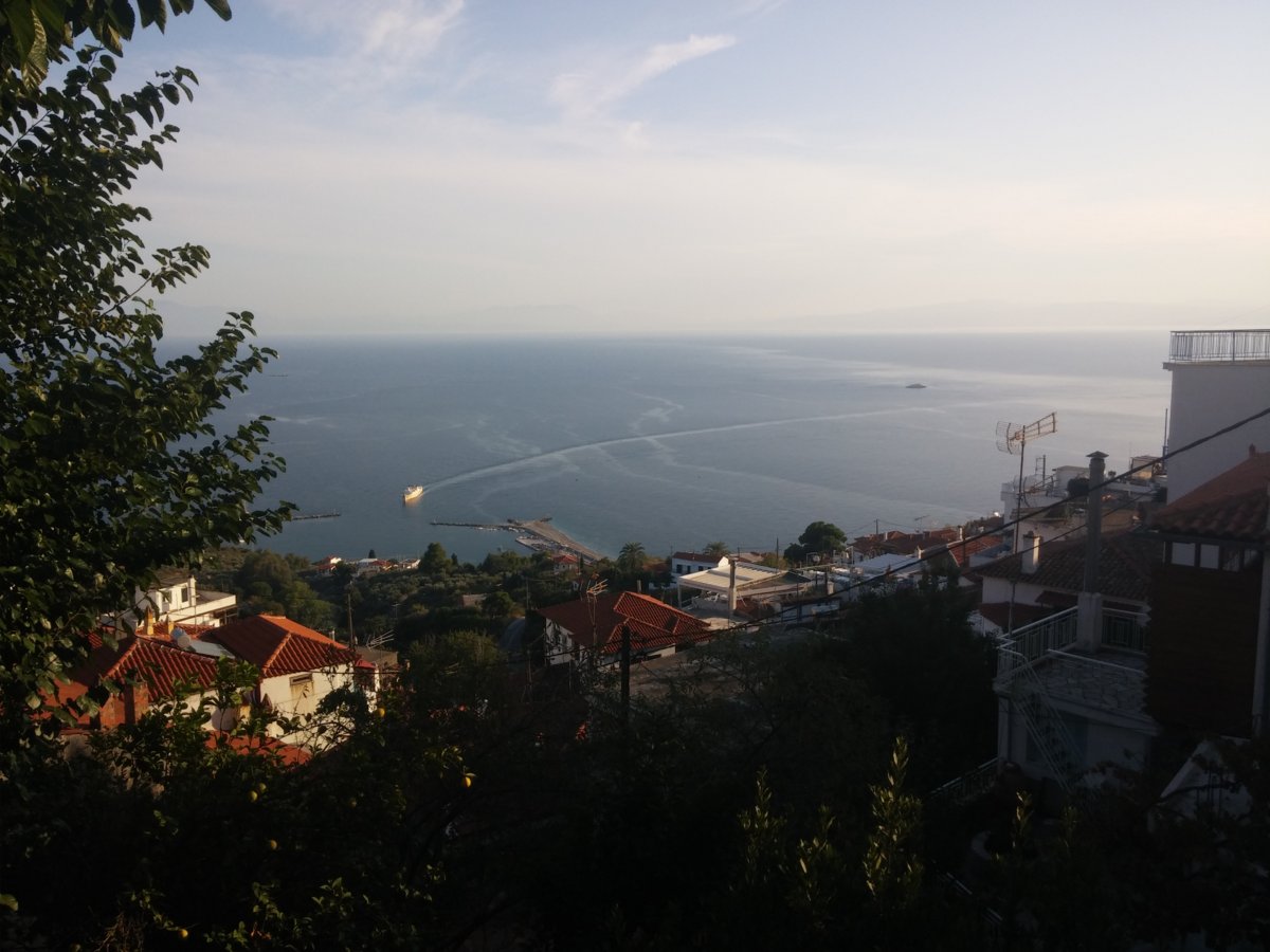 2016-08-19 18.49.30.jpg