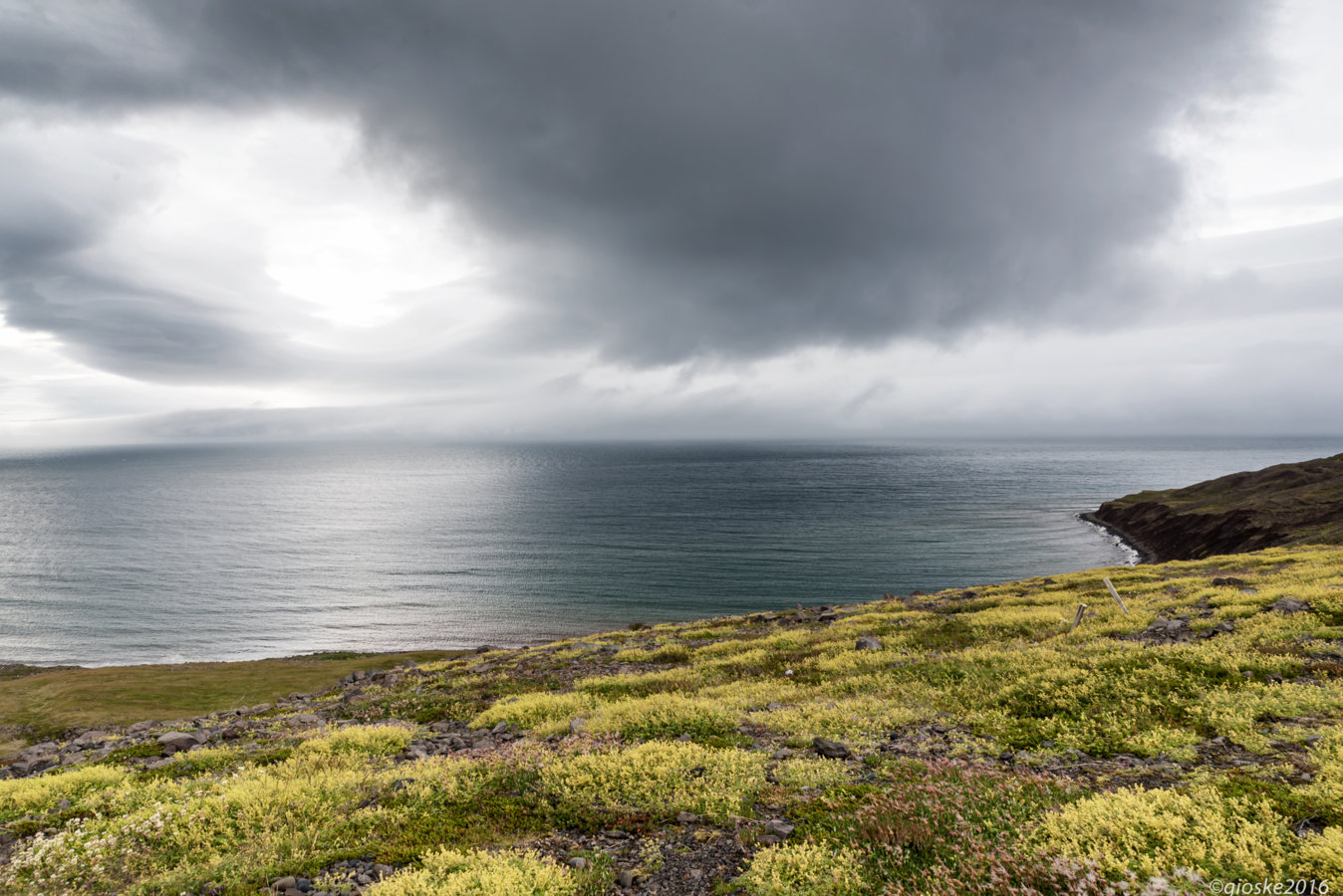 Iceland-Day 6-31.jpg