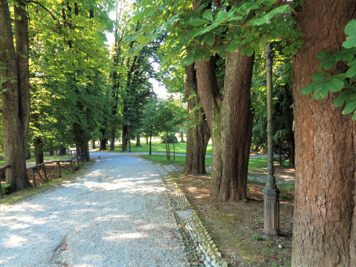 Ljubljana - Tivoli Park 21.JPG