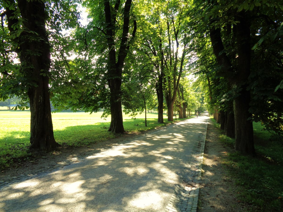 Ljubljana - Tivoli Park 42.JPG