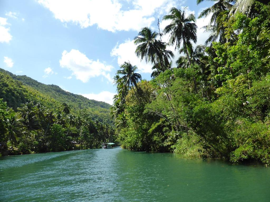 Loboc.JPG