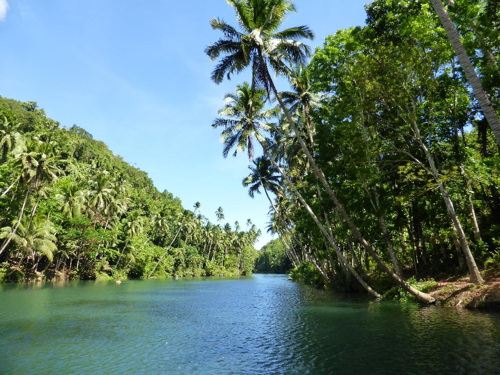 Loboc 2.JPG