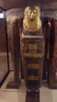 20160407_115356.jpg